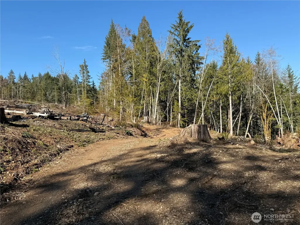 65 Devereaux Drive Lilliwaup WA 98555