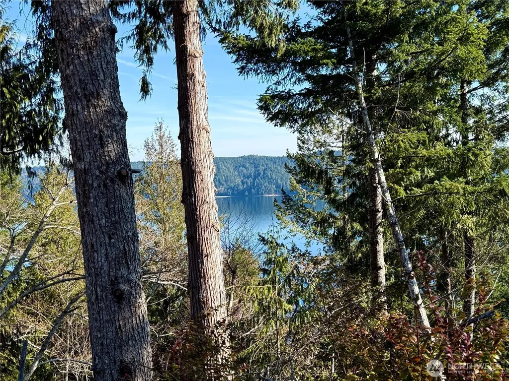 65 Devereaux Drive Lilliwaup WA 98555