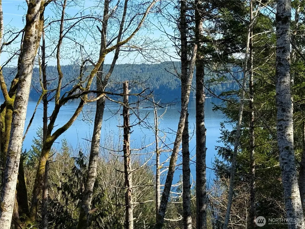 65 Devereaux Drive Lilliwaup WA 98555