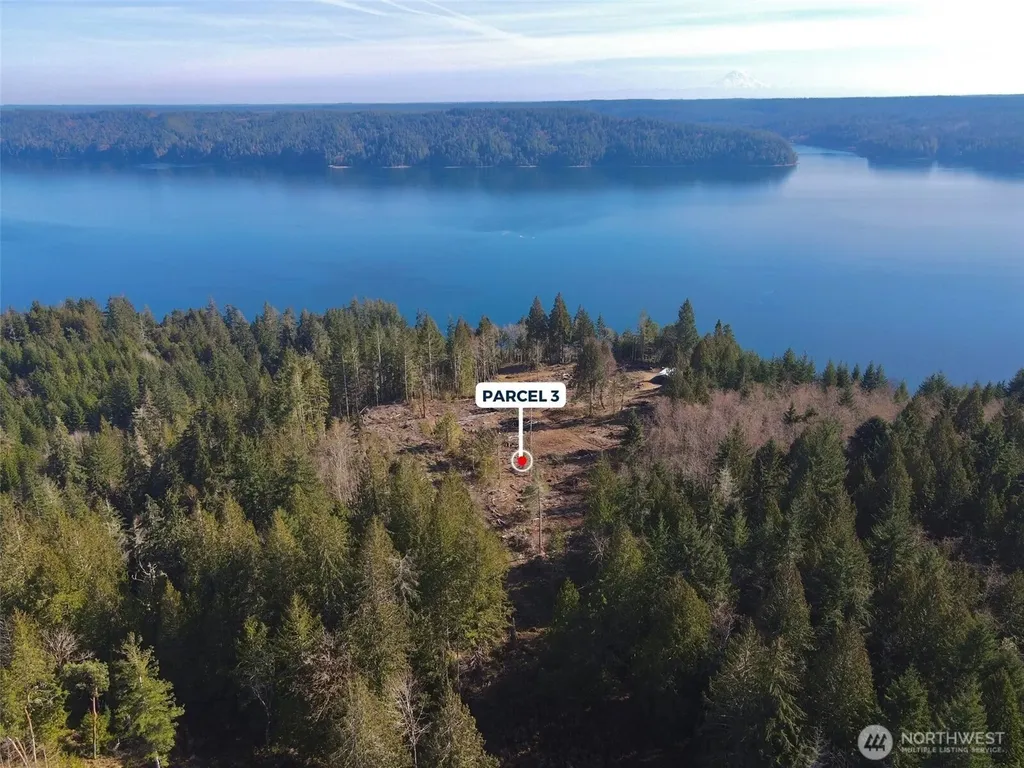 65 Devereaux Drive Lilliwaup WA 98555