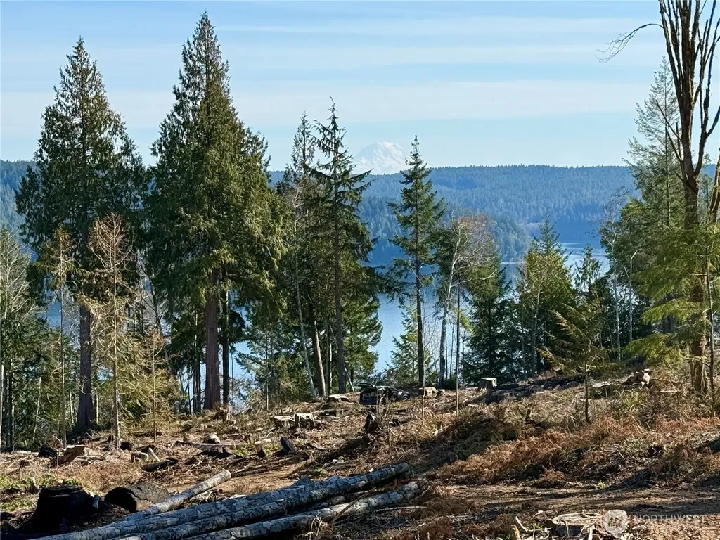 65 Devereaux Drive Lilliwaup WA 98555