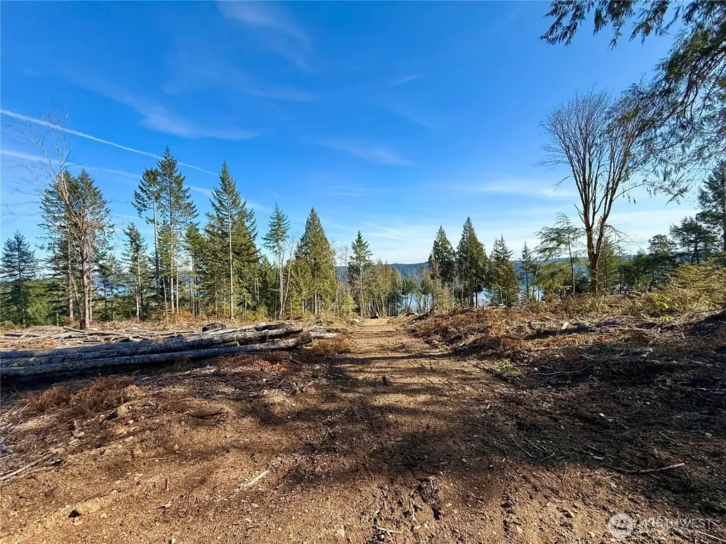65 Devereaux Drive Lilliwaup WA 98555