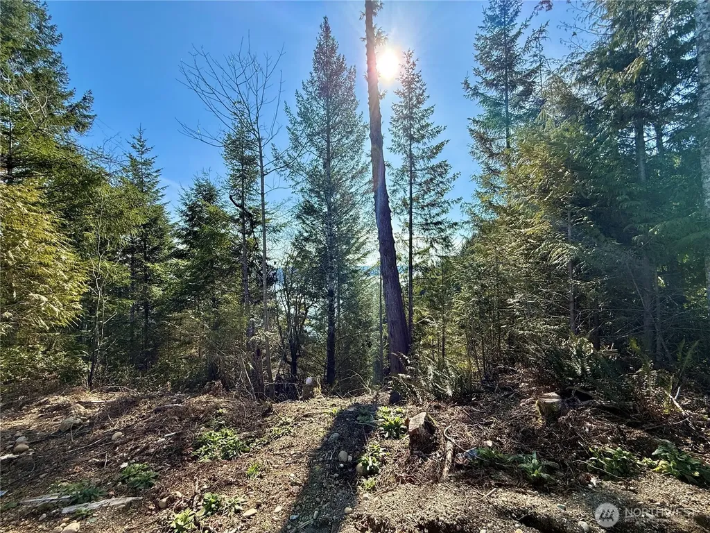 63 Devereaux Drive Lilliwaup WA 98555