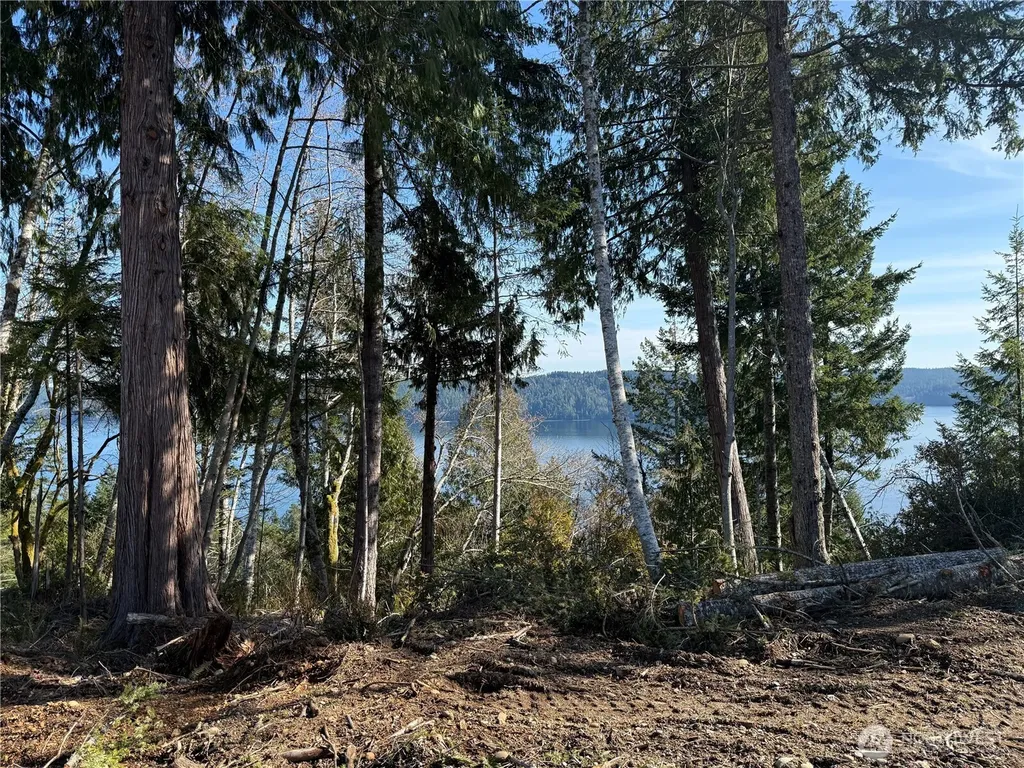 63 Devereaux Drive Lilliwaup WA 98555