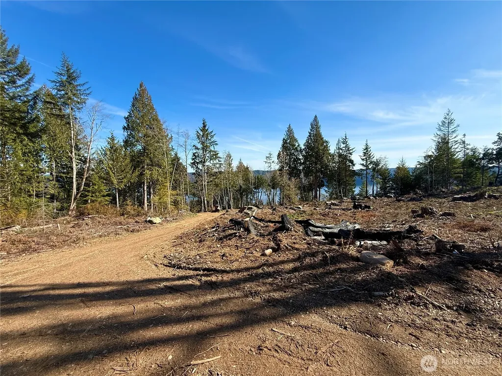 63 Devereaux Drive Lilliwaup WA 98555