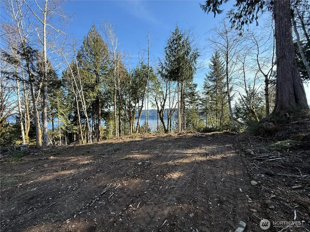 63 Devereaux Drive Lilliwaup WA 98555
