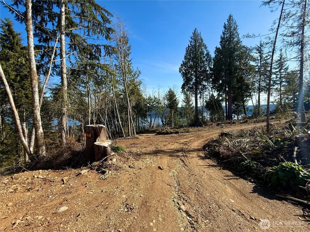 63 Devereaux Drive Lilliwaup WA 98555