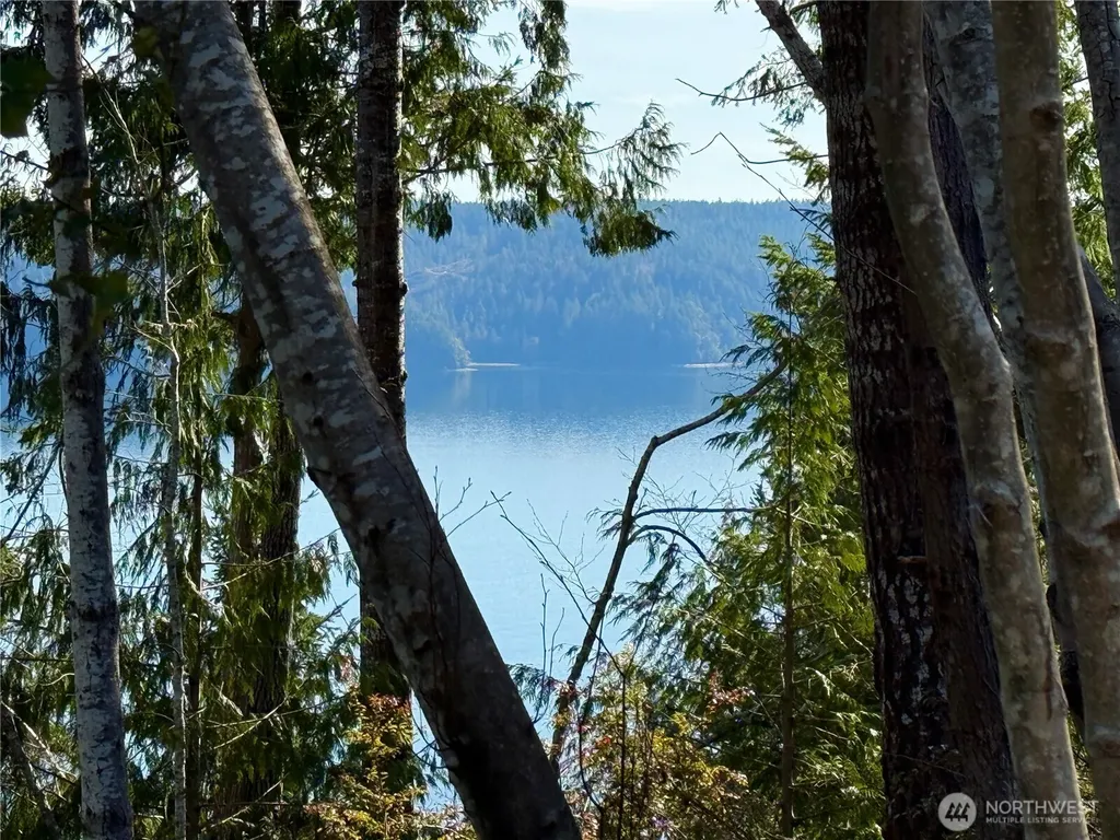 63 Devereaux Drive Lilliwaup WA 98555