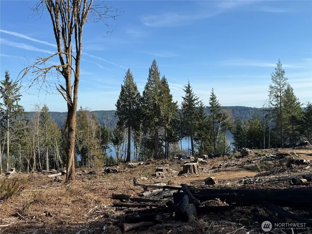 63 Devereaux Drive Lilliwaup WA 98555