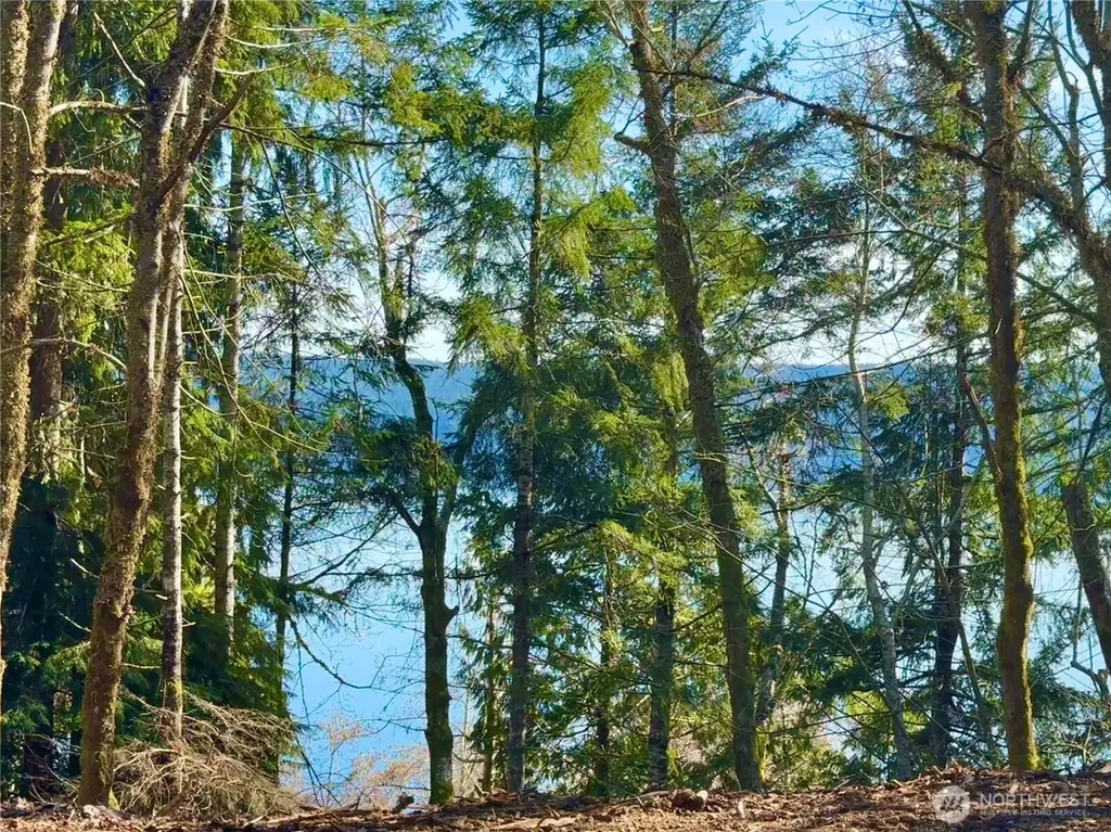 61 Devereaux Drive Lilliwaup WA 98555
