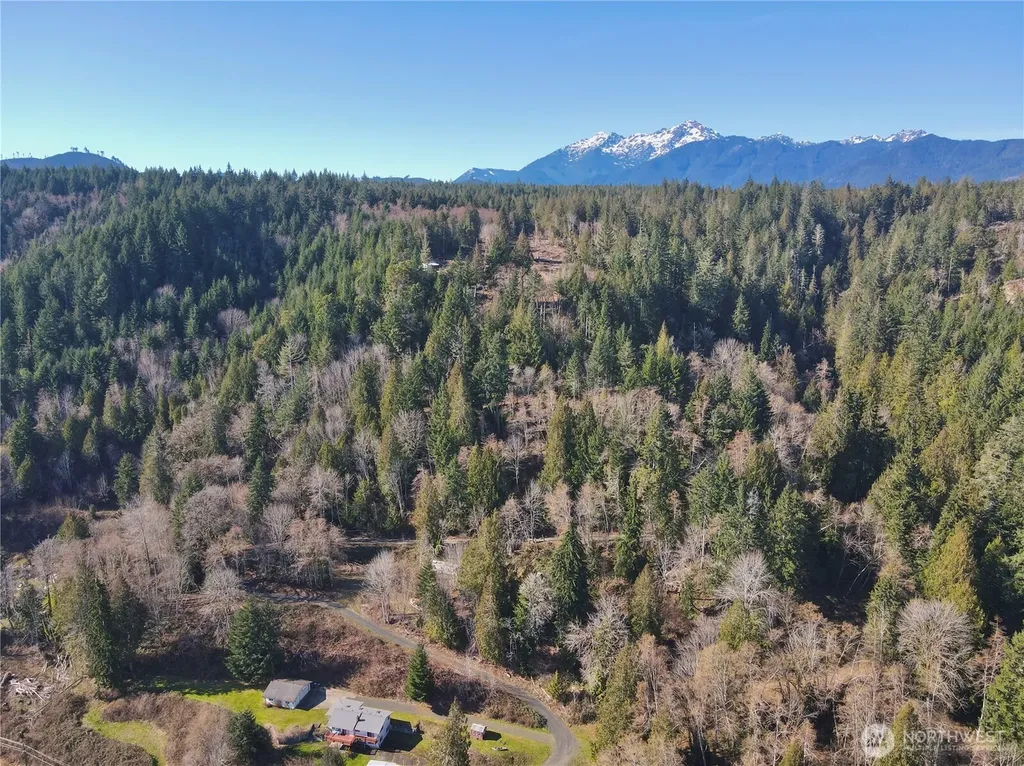 61 Devereaux Drive Lilliwaup WA 98555