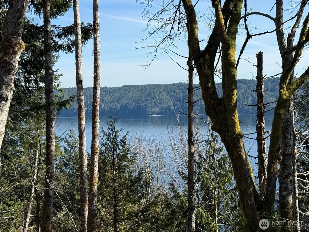 61 Devereaux Drive Lilliwaup WA 98555