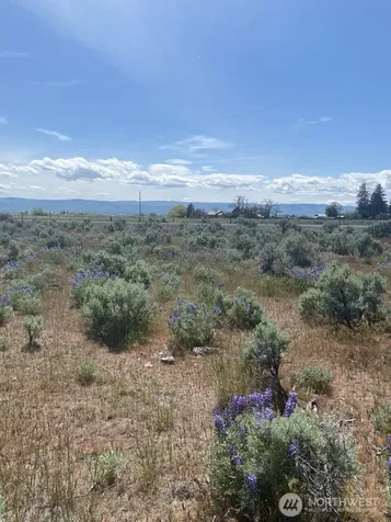 1160 Lester Road Ellensburg WA 98926