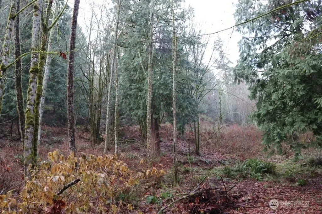 18700 SE 64th Way Issaquah WA 98027