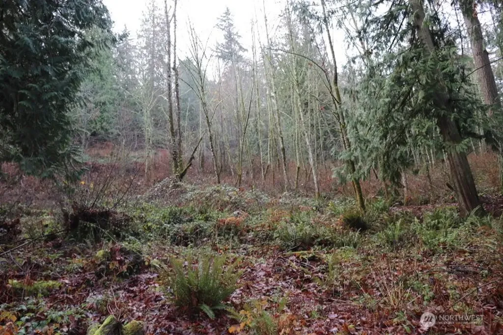 18700 SE 64th Way Issaquah WA 98027