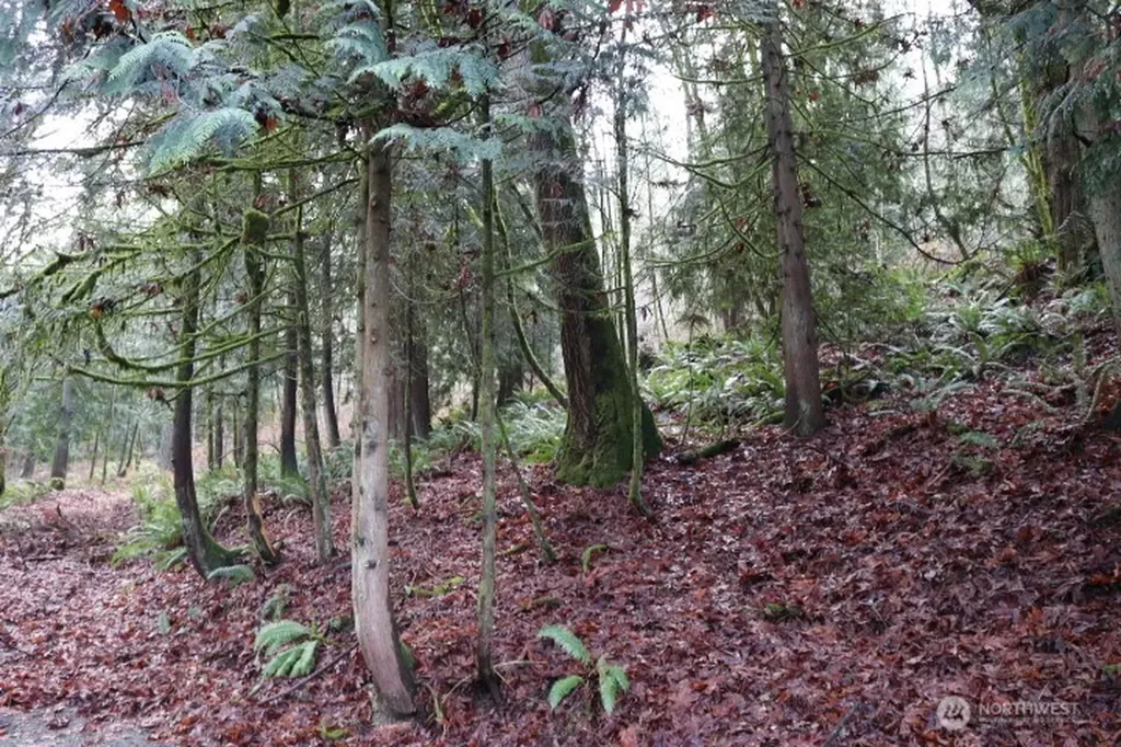 18700 SE 64th Way Issaquah WA 98027