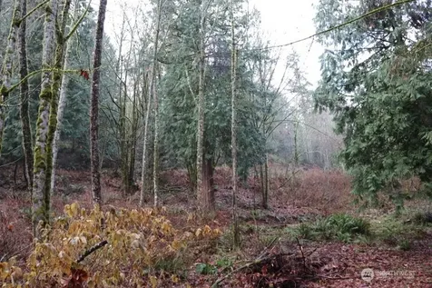 18700 SE 64th Way Issaquah WA 98027