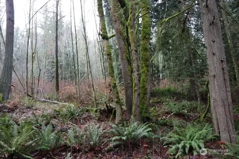 18700 SE 64th Way Issaquah WA 98027