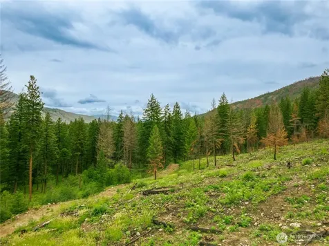 0 Wolf Creek Road Mazama WA 98833