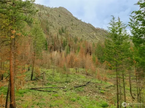 0 Wolf Creek Road Mazama WA 98833