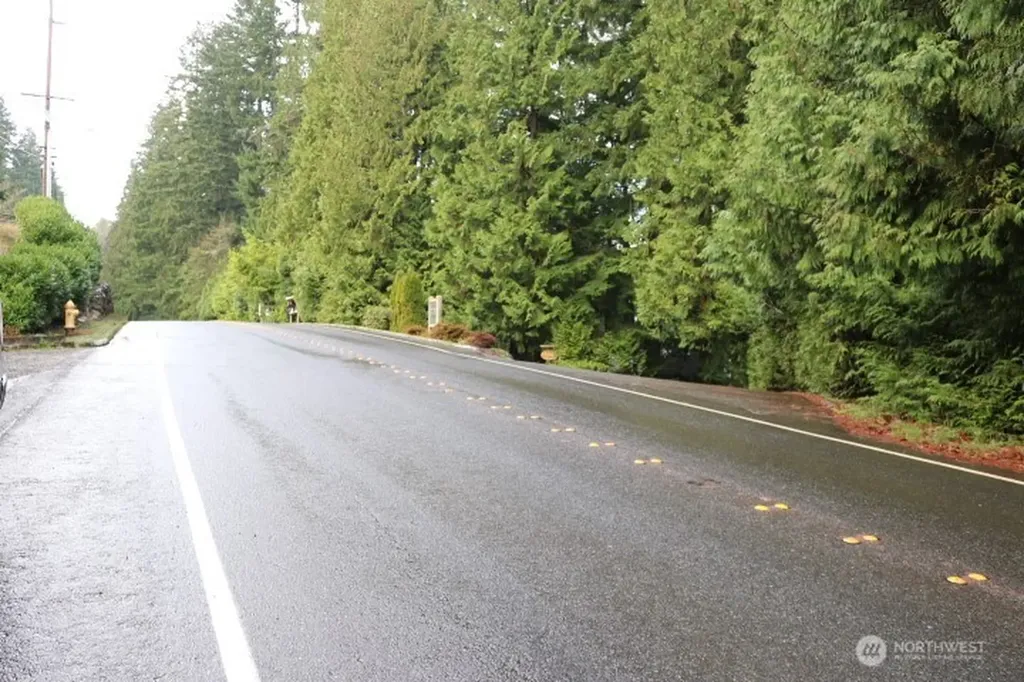 17701 SE 60th Street Bellevue WA 98006