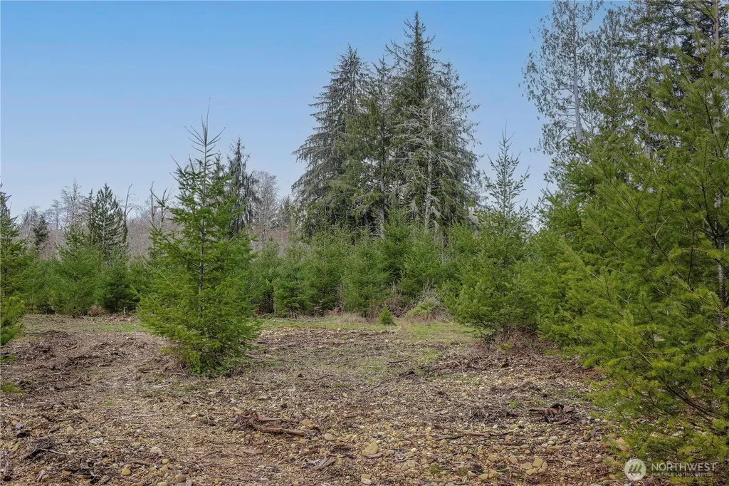 120 Larson Road Mccleary WA 98557