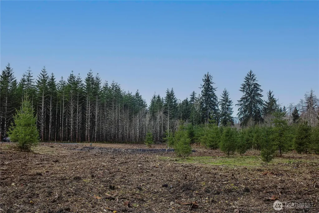 120 Larson Road Mccleary WA 98557