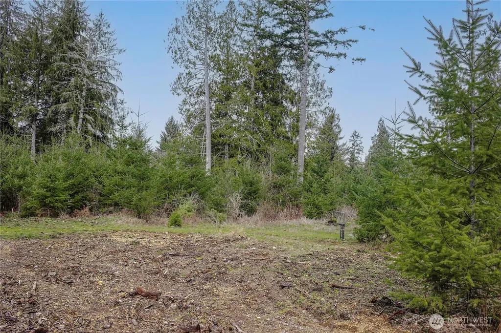 120 Larson Road Mccleary WA 98557