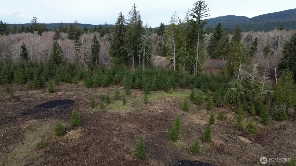 120 Larson Road Mccleary WA 98557