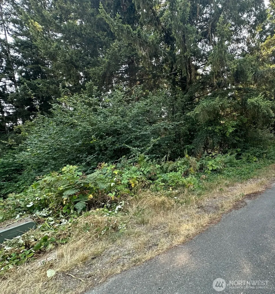 0 NE Wanda Court Belfair WA 98528
