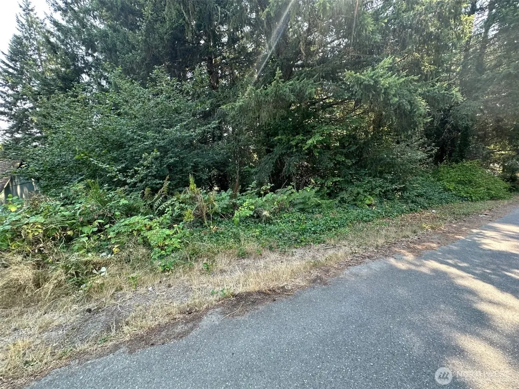 0 NE Wanda Court Belfair WA 98528