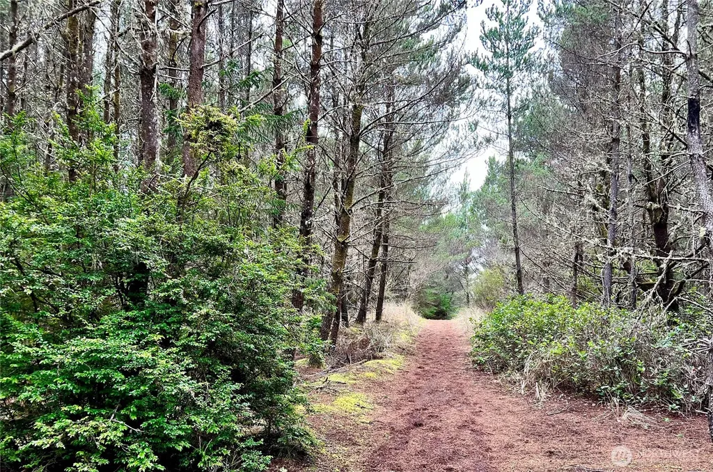 1301 178th Place W Long Beach WA 98631