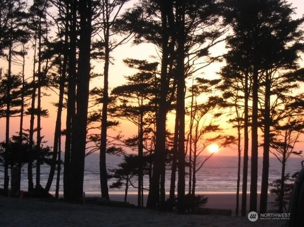 38 Trillium Lane Pacific Beach WA 98571