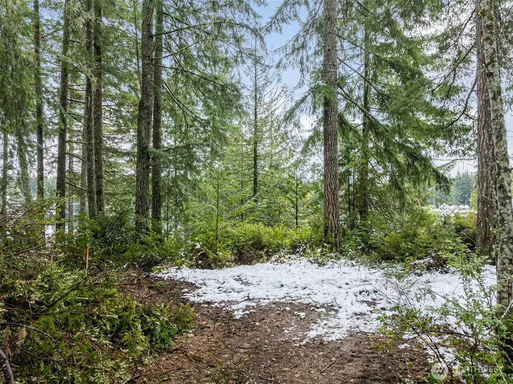 1961 E Trails End Drive Belfair WA 98528