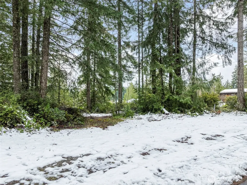 1961 E Trails End Drive Belfair WA 98528