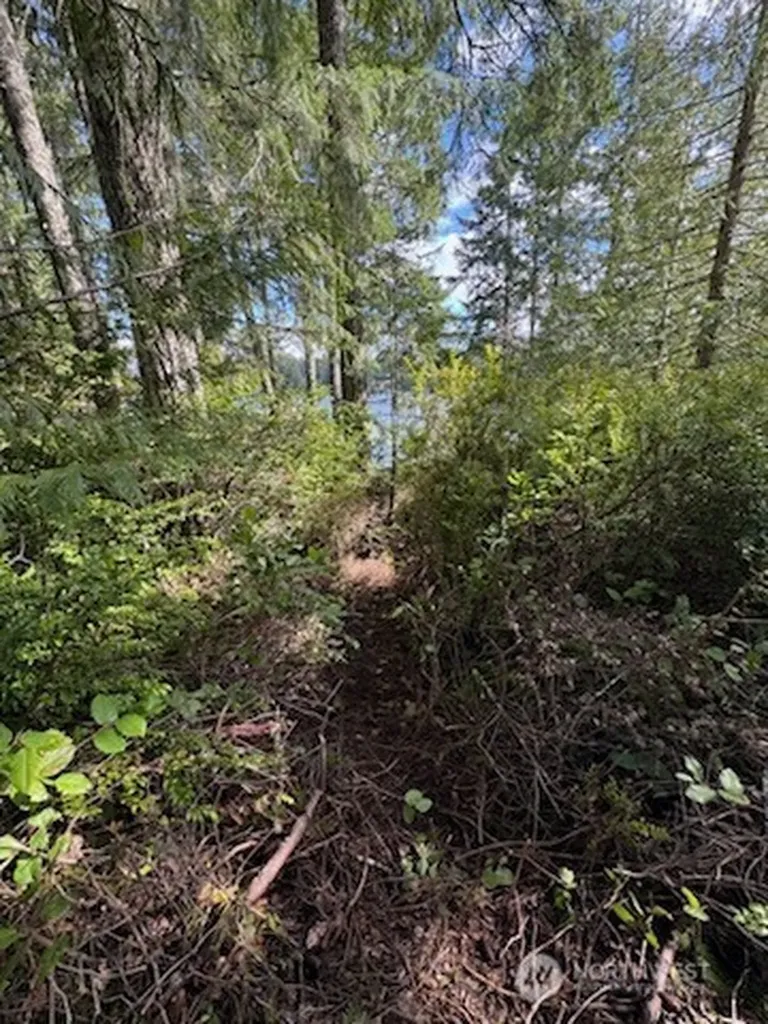 1961 E Trails End Drive Belfair WA 98528