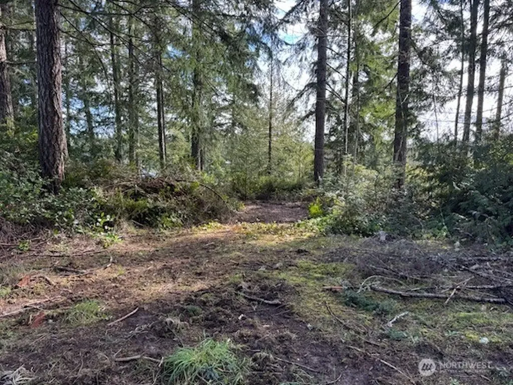 1961 E Trails End Drive Belfair WA 98528