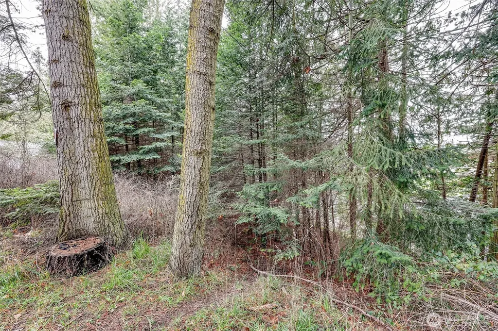 0 Vancouver Place Sequim WA 98382