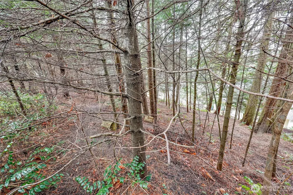0 Vancouver Place Sequim WA 98382