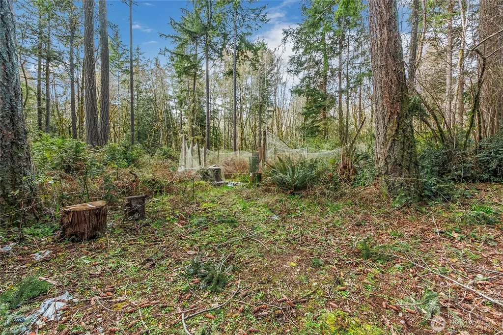 17124 80th Street SW Longbranch WA 98351