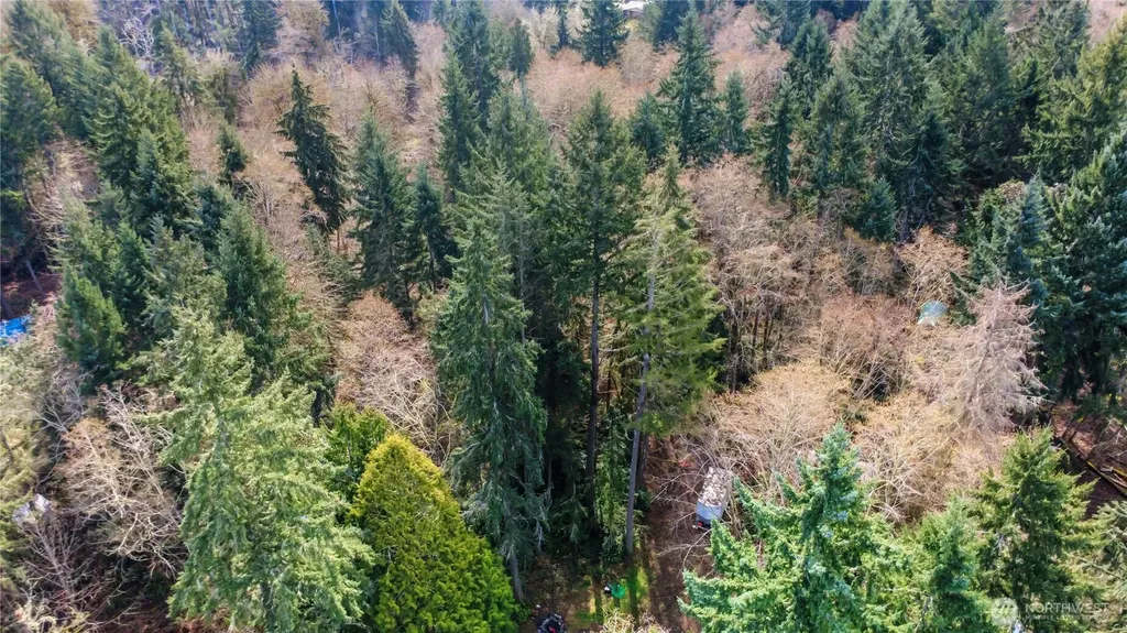 17124 80th Street SW Longbranch WA 98351