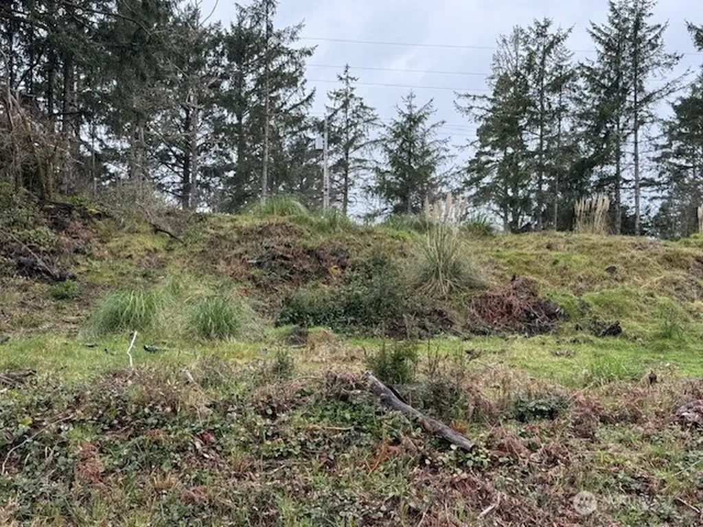 577 Sunset Avenue NE Ocean Shores WA 98569