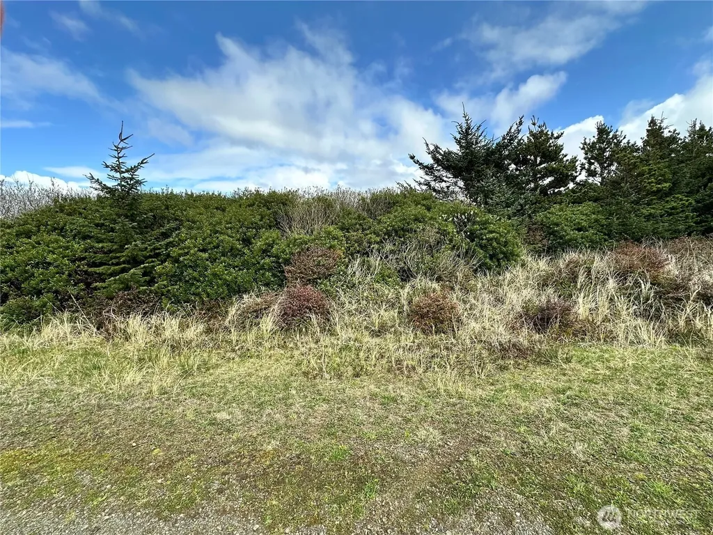 132 Dunes Lane Ocean Shores WA 98569