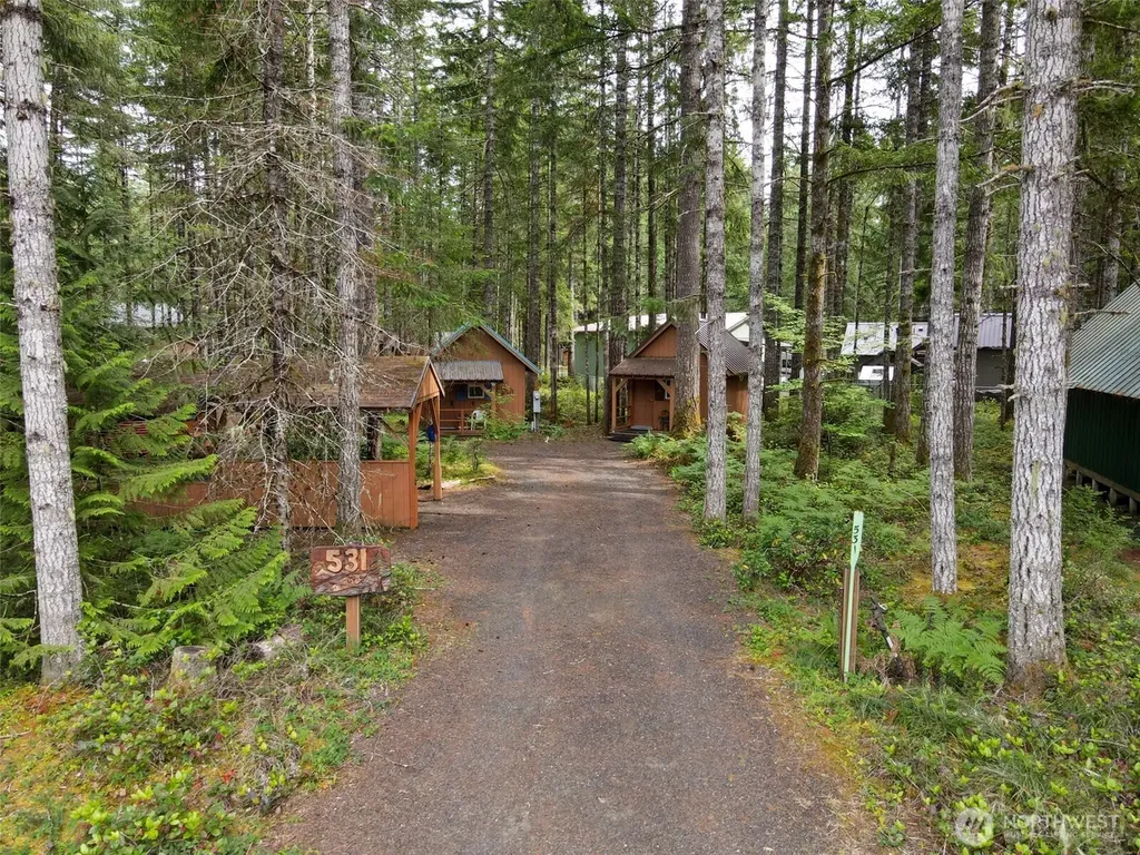 531 N Kokanee Ridge Drive Hoodsport WA 98548