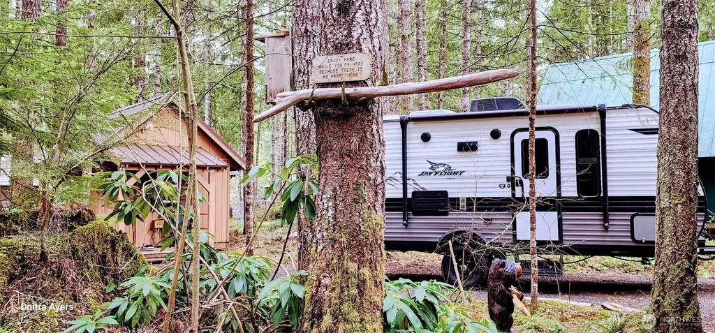 531 N Kokanee Ridge Drive Hoodsport WA 98548