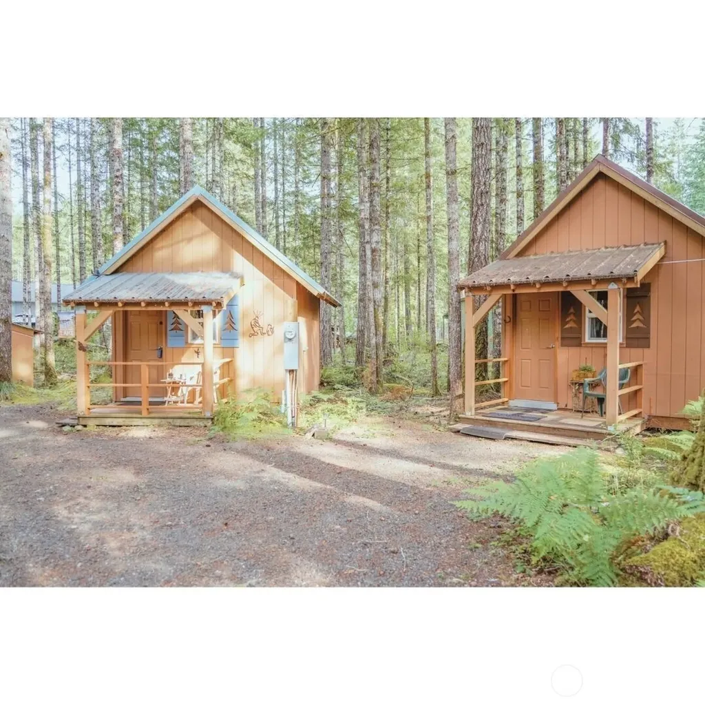 531 N Kokanee Ridge Drive Hoodsport WA 98548