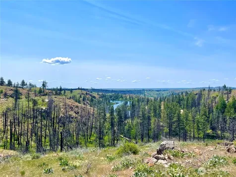 0 Madd Mtn Road Okanogan WA 98840