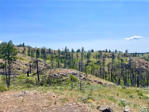 0 Madd Mtn Road Okanogan WA 98840