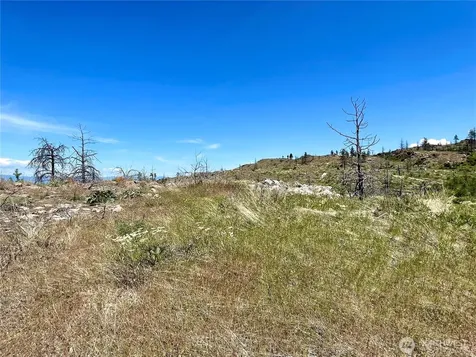 0 Madd Mtn Road Okanogan WA 98840