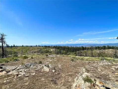 0 Madd Mtn Road Okanogan WA 98840